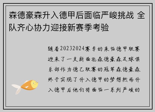 森德豪森升入德甲后面临严峻挑战 全队齐心协力迎接新赛季考验