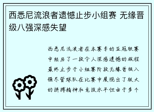 西悉尼流浪者遗憾止步小组赛 无缘晋级八强深感失望
