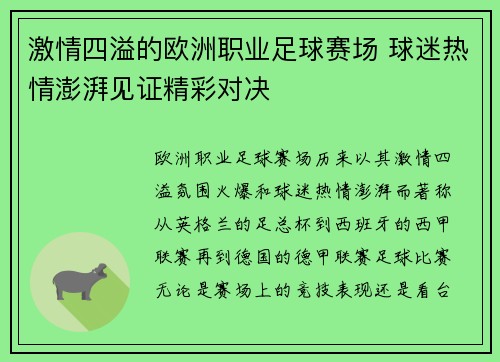 激情四溢的欧洲职业足球赛场 球迷热情澎湃见证精彩对决